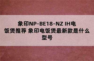 象印NP-BE18-NZ IH电饭煲推荐 象印电饭煲最新款是什么型号